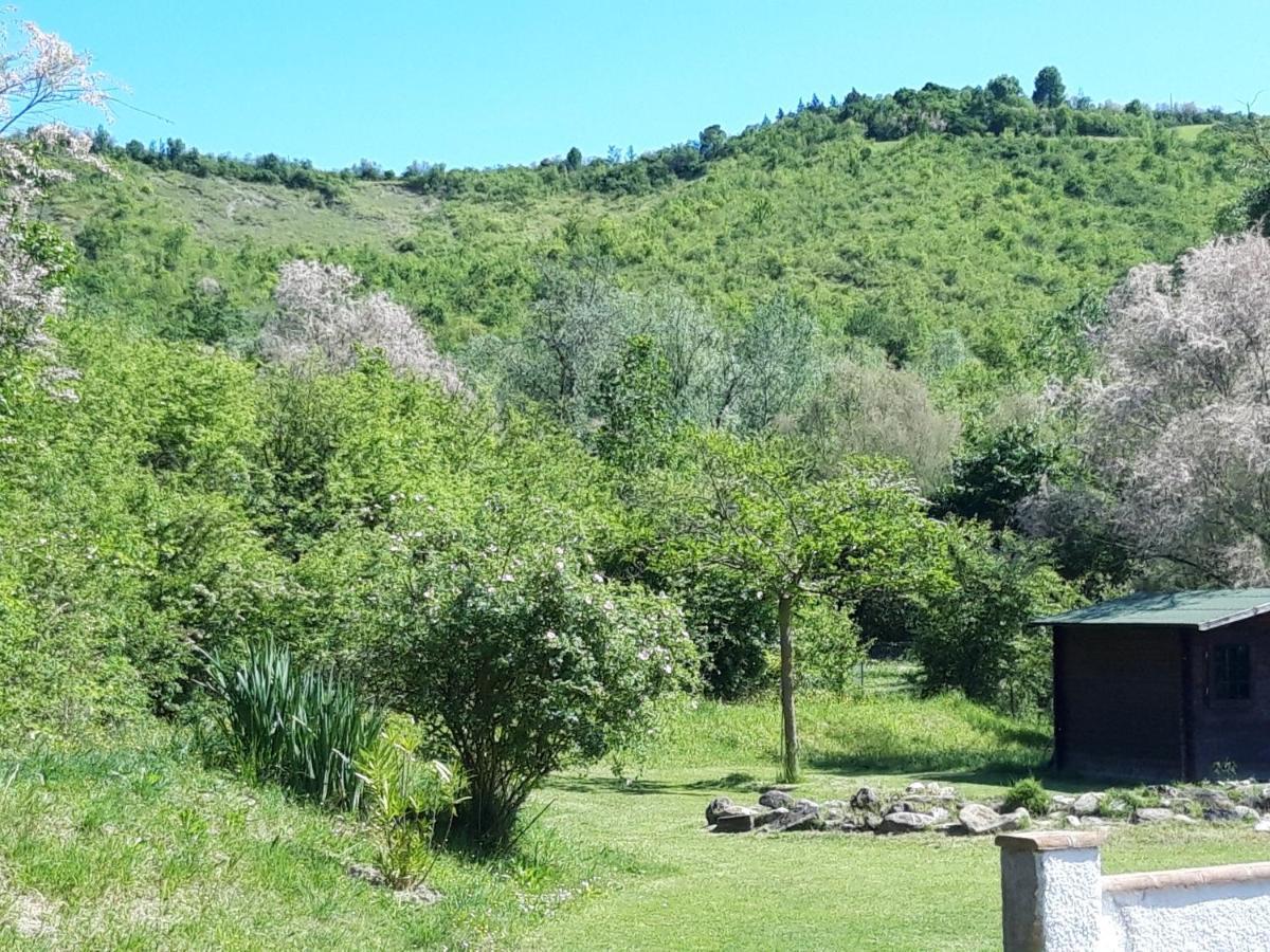 Il Baiocchino Panzió Castel San Pietro Terme Kültér fotó